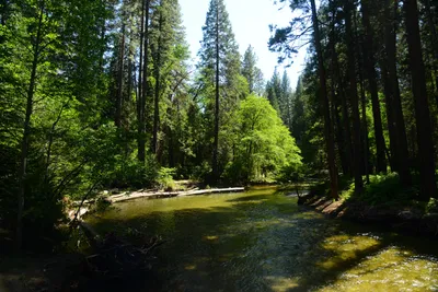 DSC_2390 (Large).JPG